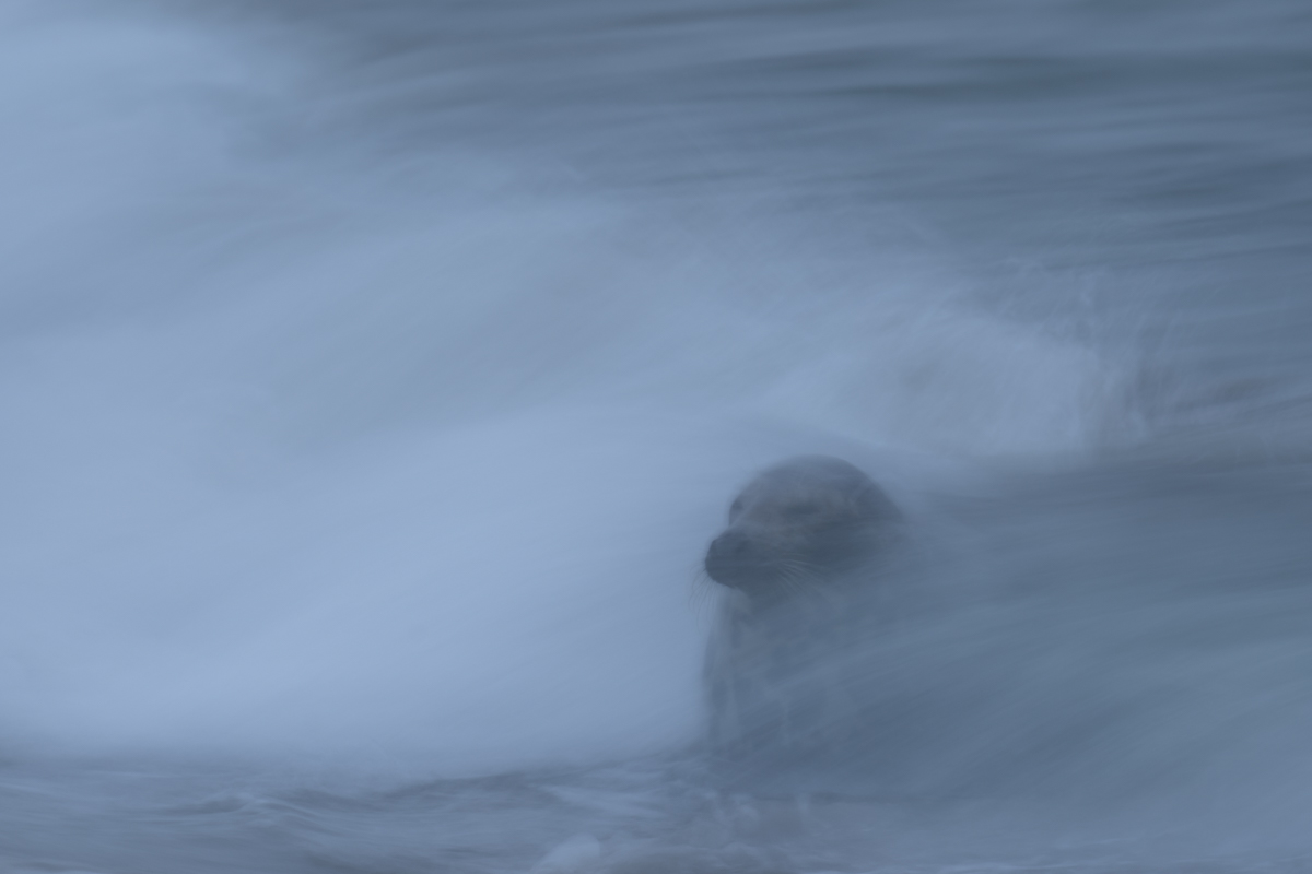 Breaking Wave