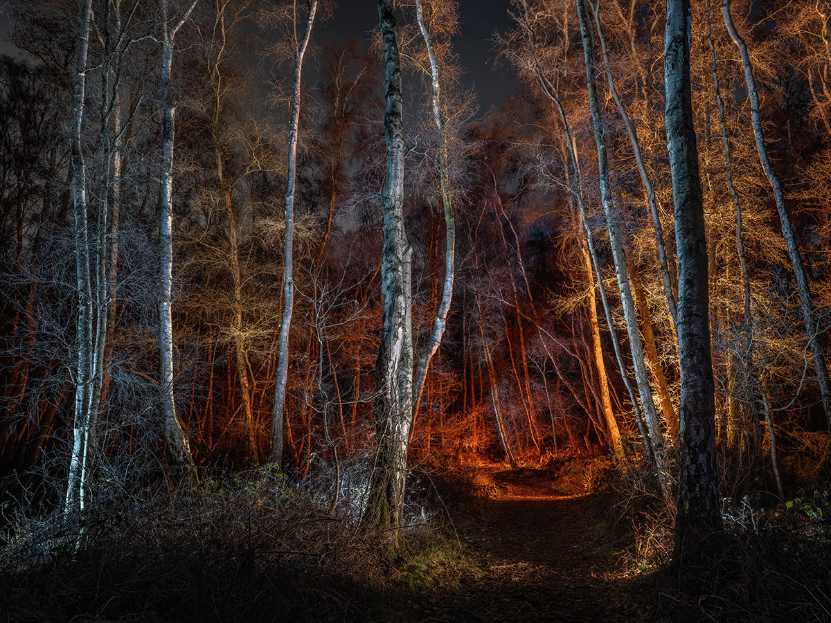 The Path Ahead