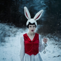 TIME IS RUNNING OUT / Follow the white Rabbit
