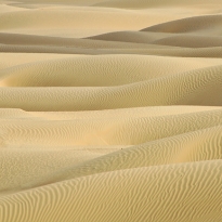 Sea of sand