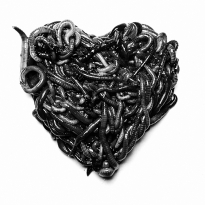 Heart of worms