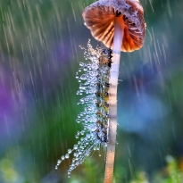 under umbrella