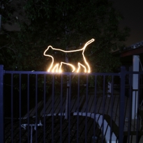 Cat on Fence