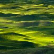 waves of green 