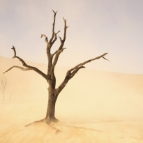 Sossusvlei Sandstorm