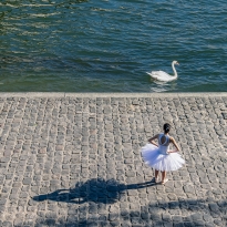 The swan and the ballerina