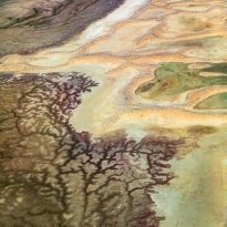 Water veins reach to the Simpson Desert