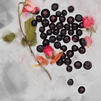 Blueberries and Roses