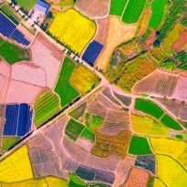 colorful farmland