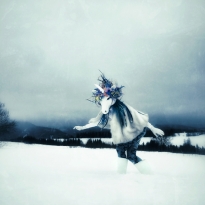 Winter Unicorn