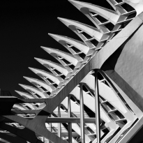 ABOUT BUILDINGS - Form and Geometry (...in high contrast)