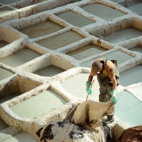Fes tannery
