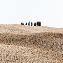 The Italian Desert Series 