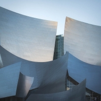 Gehry's Curves