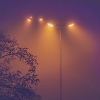 Alien street lamps in the fog
