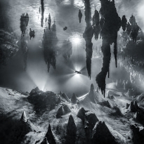 Underwater Reflections 