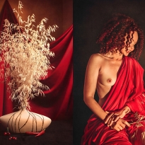 Diptychs. Still lifes and Nudes.