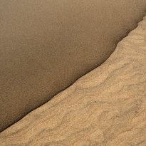 Counterpoint in Sand and Ash