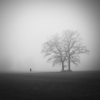 walks in the fog