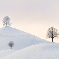Hills in winter