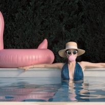 Swimming Pool Flamingo