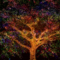 COLORFUL TREE