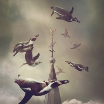 Flight of the Penguins