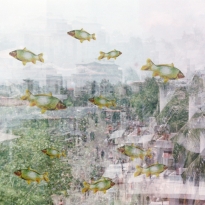 Fishes moving in the urban scapes