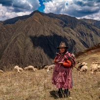 Serenade from the Andes