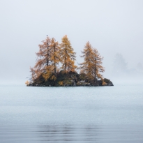 Islet in the Fog