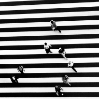 Tokyo Grid