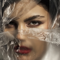 Synthetic Veil