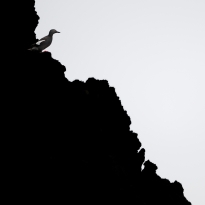On the Edge