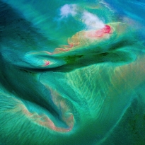 The Dragon’s Roar 1677