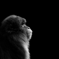 More than this - Roxy Music