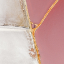 Manufactured Landscape