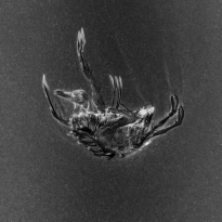 The Weight of Silence