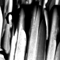 Unintended Landscapes