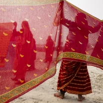 “Through the Veil ”