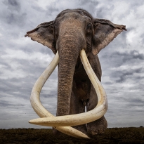 WELCOME TO PLEISTOCENE!