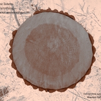 In the Grain of Time