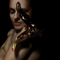 The Dream of the Butterfly