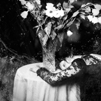 The Last Dream of the Irish Rose