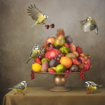 All for one / one for all