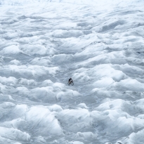 One Among Waves of Ice