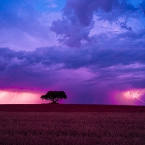 Alone in the face of danger