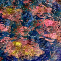 Between Surface and Light