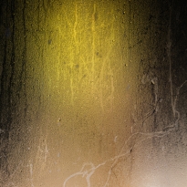 Citrinitas – The Biological Script