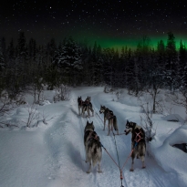 Chasing the Northern Lights