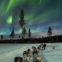 Lapland Explorer